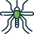 Mosquito Icon